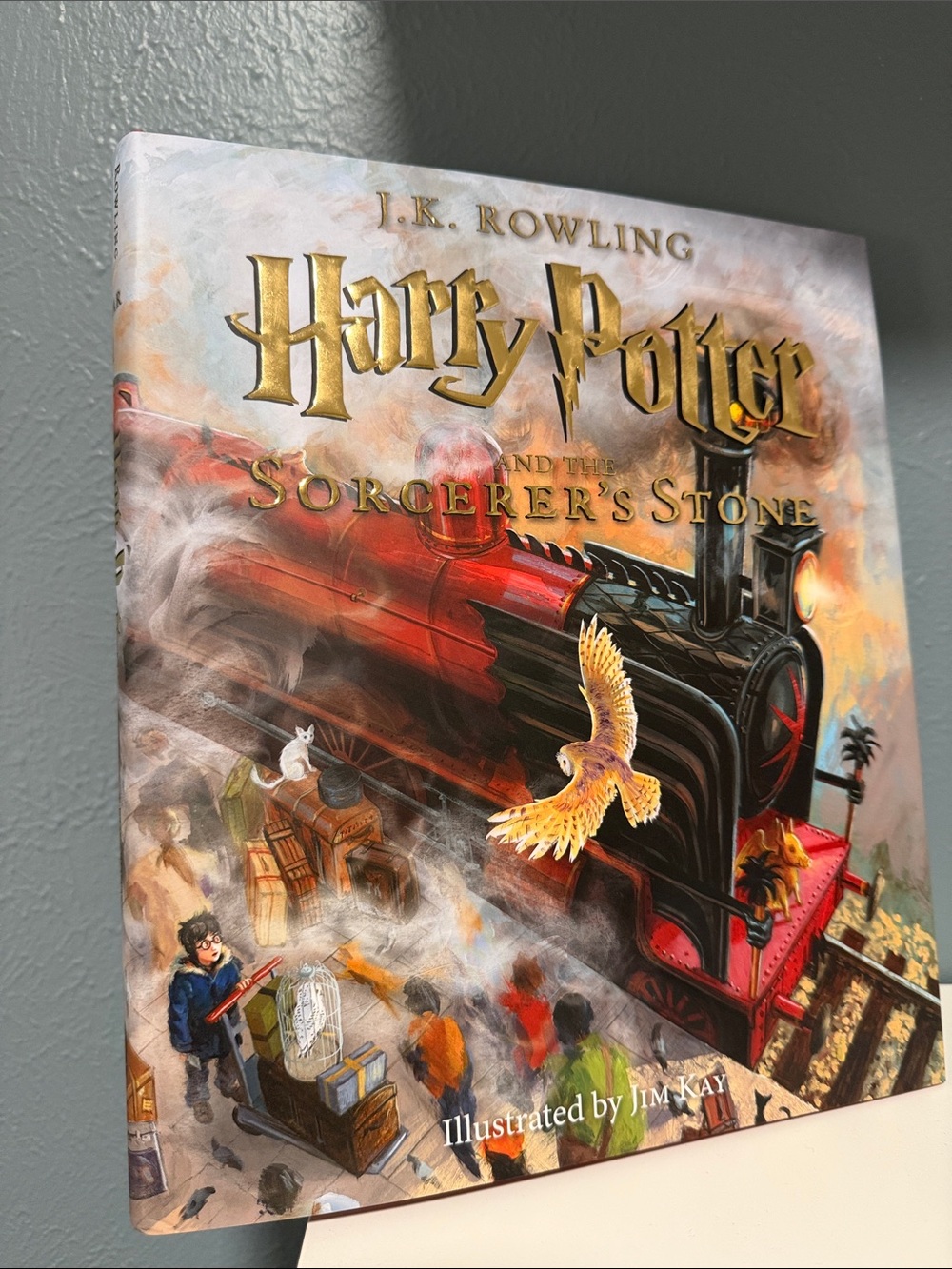 Harry Potter and the Sorcerer's Stone - Illustrated Edition by Jim Kay